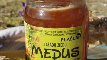 Medus 0,5 l (0,7 kg)